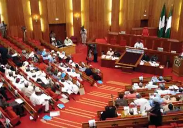 The National Assembly is broke, says Senate Leader Ali Ndume